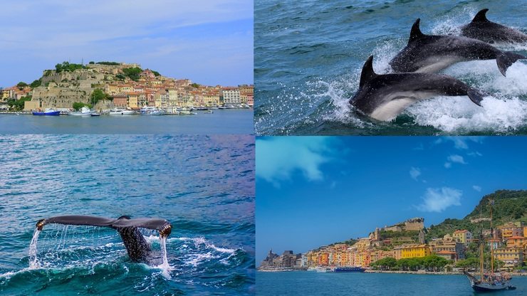 Ligurien Wale, Cinque Terre & Toskana