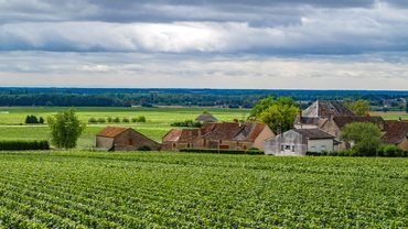 France - Burgundy: History & Wine