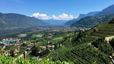 Christi Himmelfahrt in Südtirol Special